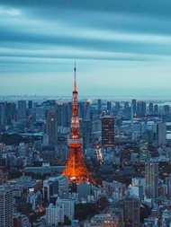 Der Wandel des Regulierungsmodells