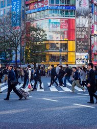 Rechtsvergleichung mit Japan