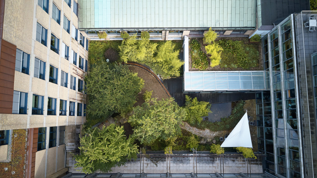 Fachbeirat und Kuratorium