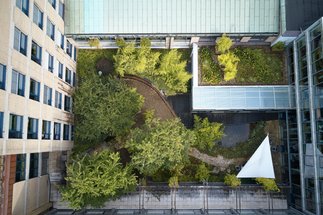 Scientific Advisory Board and Board of Trustees