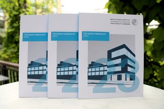 Institute Activity Reports