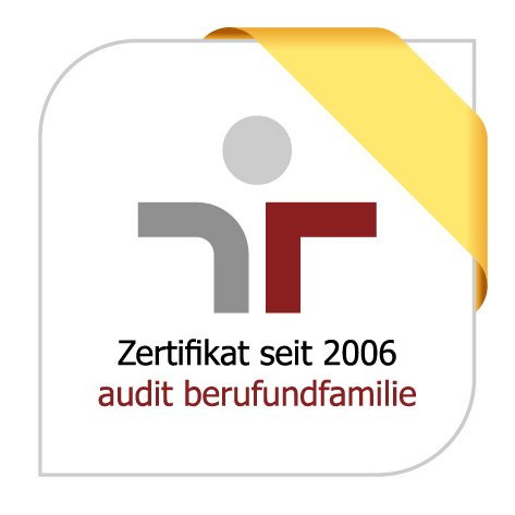 Career and Family Audit
