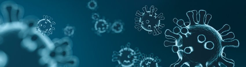 Responses to the Coronavirus in Japanese and German law