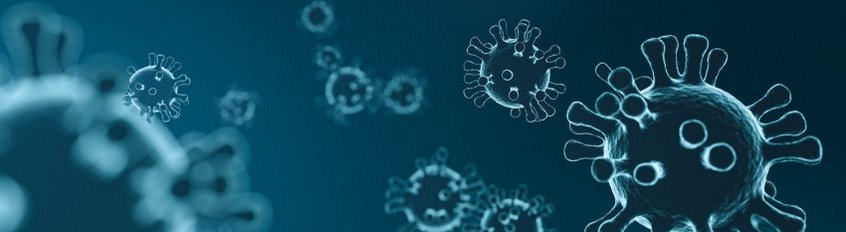 Responses to the Coronavirus in Japanese and German law Responses to the Coronavirus in Japanese and German law