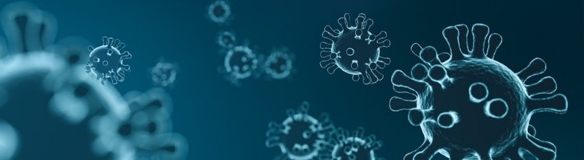 Responses to the Coronavirus in Japanese and German law Responses to the Coronavirus in Japanese and German law