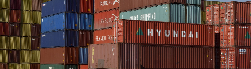 The Interpretation and Review of Contractual Terms in Asia: The Presentation of a Research Project The Interpretation and Review of Contractual Terms in Asia: The Presentation of a Research Project