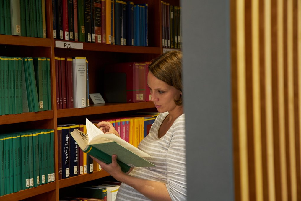 Postdoctoral research/ habilitation at the MPI