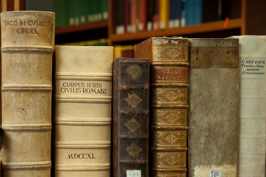 Foundations: Legal History, Legal Theory, Law and Economics