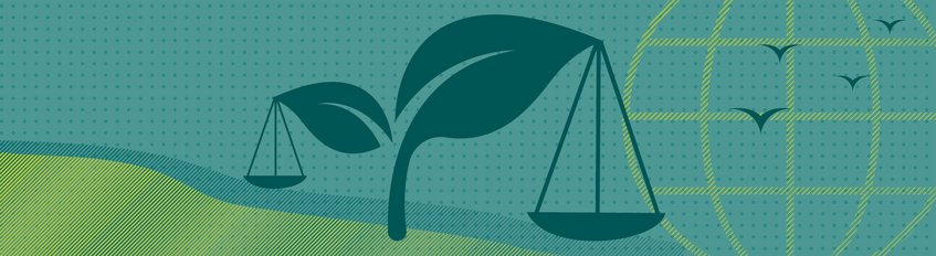 Rights of nature on the upswing Rights of nature on the upswing