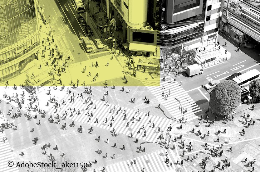 From Corporate Governance to LGBTQ+: What does research on Japanese law focus on?