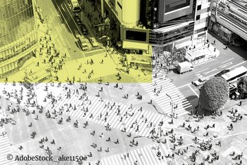 From Corporate Governance to LGBTQ+: What does research on Japanese law focus on?