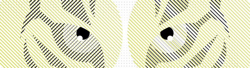 Tiere im Recht Tiere im Recht