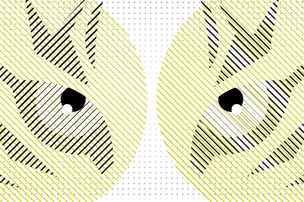 Animals in the Law: Where is discourse on non-human legal subjects heading?