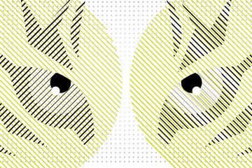 Animals in the Law: Where is discourse on non-human legal subjects heading?