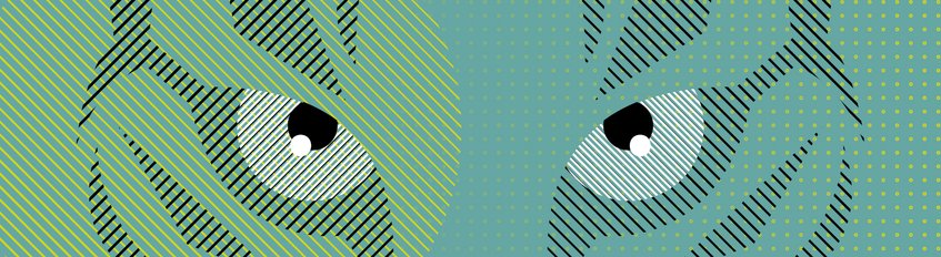 Access to Justice for Animals in Europe: Towards an ‘Aarhus Convention’ for Animals? Access to Justice for Animals in Europe: Towards an ‘Aarhus Convention’ for Animals?