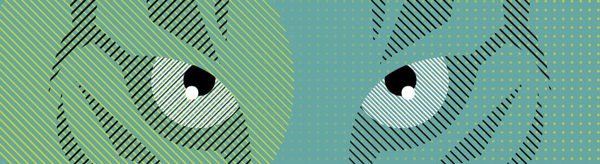 Access to Justice for Animals in Europe: Towards an ‘Aarhus Convention’ for Animals?  Access to Justice for Animals in Europe: Towards an ‘Aarhus Convention’ for Animals?