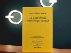 Samuel Zeh: Der internationale Schmerzensgeldanspruch