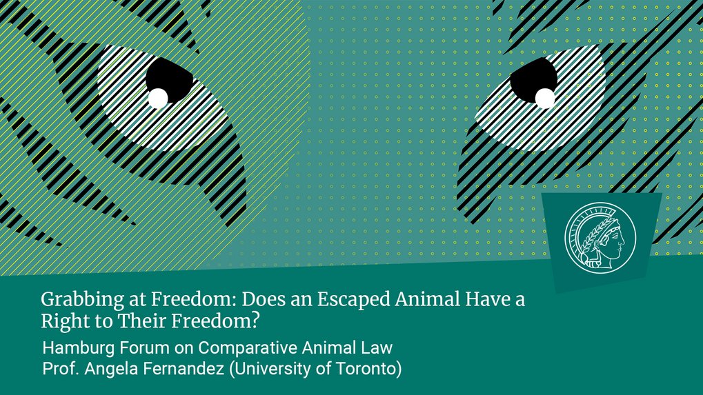 Prof. Angela Fernandez (University of Toronto): Grabbing at Freedom: Does an Escaped Animal Have a Right to Their Freedom?