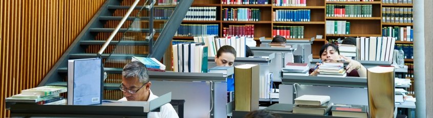 Stipendienprogramm des Instituts Stipendienprogramm des Instituts