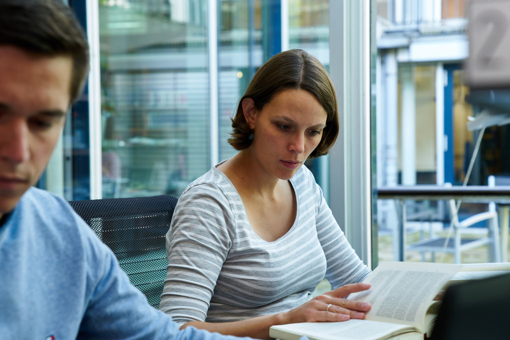 Stipendienprogramm des Instituts