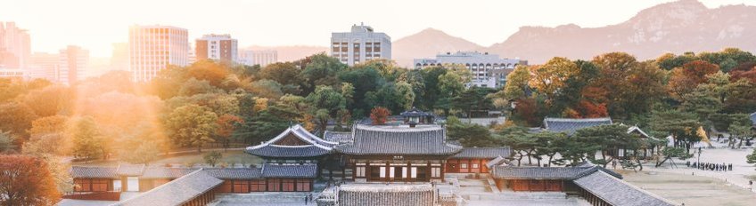 Forschung zum koreanischen Recht